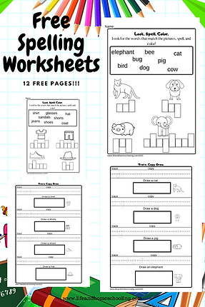 Free Spelling Activity Worksheet/ Life and Homeschooling
